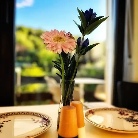 Bed & Breakfast Sophie's Gaestehaus